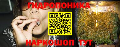 наркотики Кингисепп