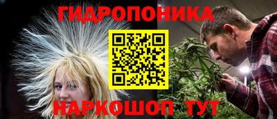 наркотики Кингисепп
