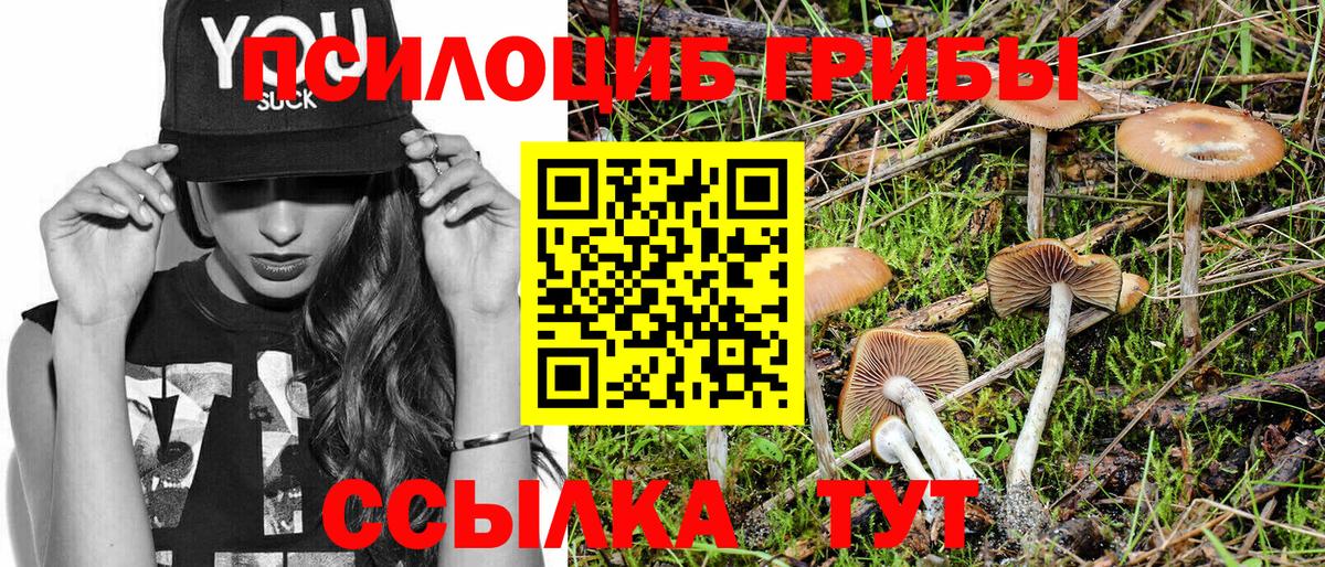 Галлюциногенные грибы GOLDEN TEACHER Грозный