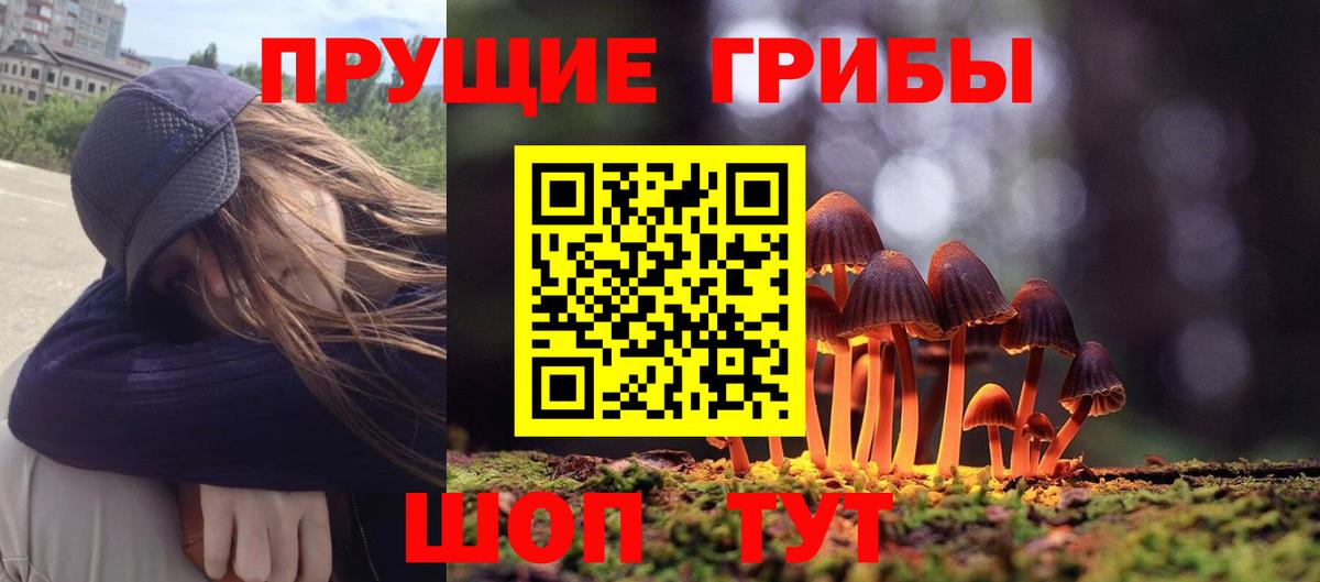 Грозный  Галлюциногенные грибы MAGIC MUSHROOMS  Вход с VPN 